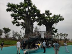 -九龙湖公园