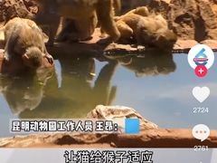 -昆明动物园