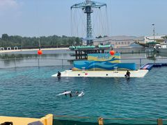 -秦皇岛乐岛海洋王国