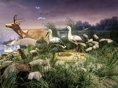 -湖南省地质博物馆