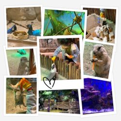 -宝燕乐园(闵行旗舰店)