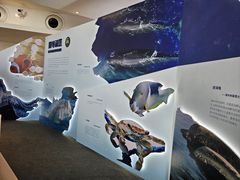-抱抱地球咖啡馆(国家海洋博物馆店)