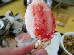 -蚝专家(北滘店)