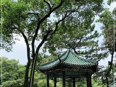 -古琴台