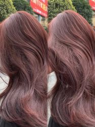 -禾里設計
