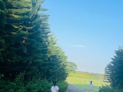 -迪茵湖田家舍生态农场