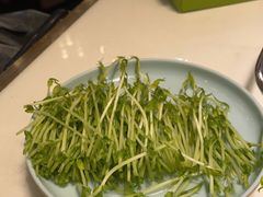 -洪氏嗨捞·猪肚鸡火锅(阳光天地店)