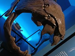 -湖南省地质博物馆