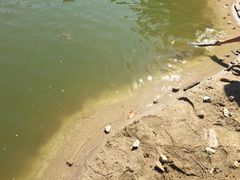 -佛山祈福仙湖酒店