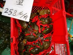 -寻味顺德·南记酒家·传统顺德菜·鱼生(广源路店)