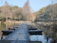 -柯岩风景区