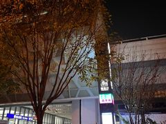 -朱辛庄(地铁站)