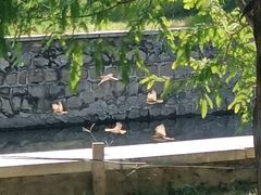 -元大都城垣遗址公园