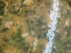 -映像威海·海鲜味道(市区店)