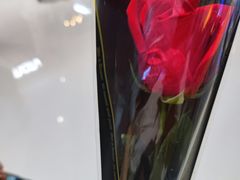 -盡膳口福跷脚牛肉火锅(合生汇购物中心店)