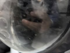 -半岛宠物医院24小时(白果林店)