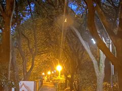 -杭州半山国家森林公园