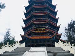 -铁山坪森林公园