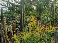 -呀路古热带植物园-恐龙馆