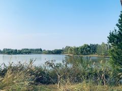 -东郊湿地公园