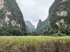 -明仕田园