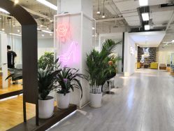 -P.STYLE派斯造型