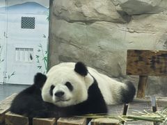 -无锡动物园·太湖欢乐园