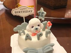-BABYDOG宝贝狗宠物乐园(欧洲城店)