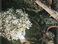 -杭州花家山庄