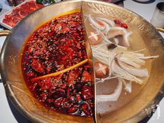 番茄鸳鸯太极锅-小龙坎火锅(IFS HOT店)
