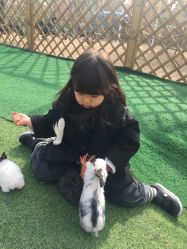 -萌宠亲子动物乐园(槐房万达店)