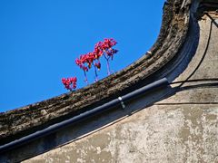 -揭阳楼