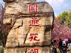 -昆明动物园