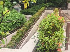-九龙公园