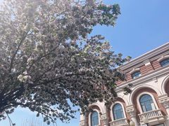 -天津五大道文化旅游区