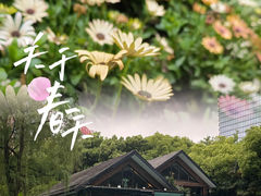 -静安公园(静安寺街道)