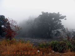 -祁门牯牛降观音堂风景区