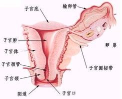 -邢台妇产医院