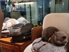 -Line 咖啡(石厦花园店)