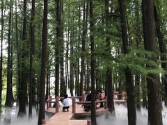 -东湖落雁景区