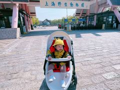 -上海野生动物园