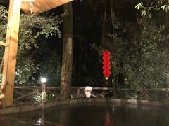-云涛森林温泉