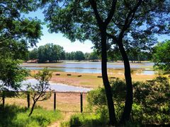 -北京麋鹿生态实验中心