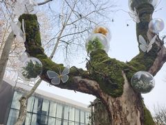 -西安电影制片厂