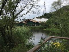 -西湖风景区-江洋畈生态公园