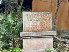 -灵谷景区