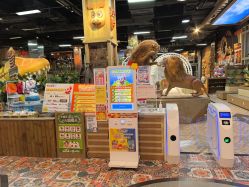 -卡通尼·Safari非洲探索乐园·生日会(金桥国际商业广场店)