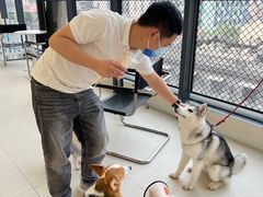 -怪兽屋·羊驼·猫咖·狗咖(俊华广场店)