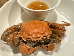 -新白鹿餐厅(银泰西湖文化广场店)