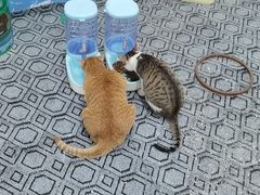 -蓝天射箭馆·专业射箭运动(诚丰广场店)